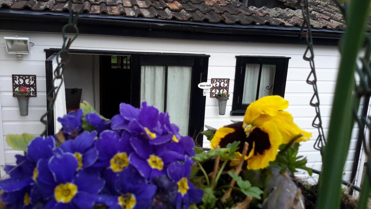 Bed and Breakfast Rose Farm Гонитон Экстерьер фото