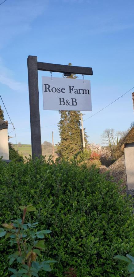 Bed and Breakfast Rose Farm Гонитон Экстерьер фото