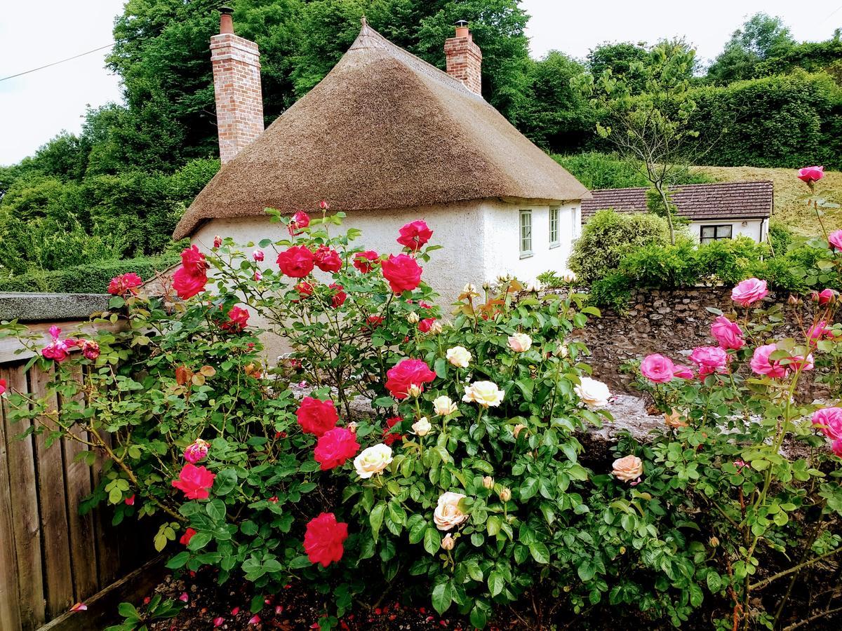 Bed and Breakfast Rose Farm Гонитон Экстерьер фото