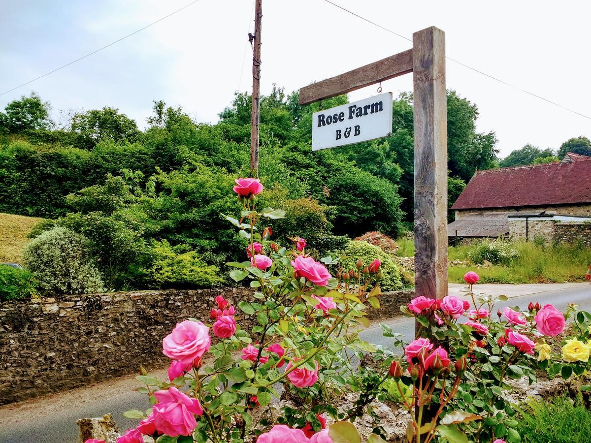 Bed and Breakfast Rose Farm Гонитон Экстерьер фото